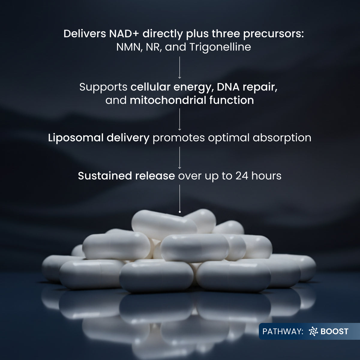 Renue By Science NAD+ Complete | 120ct